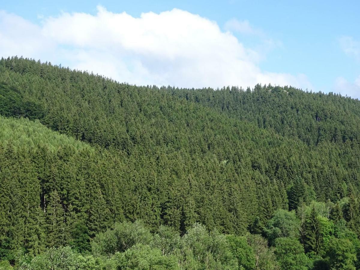 Ferienwohnung Am Berggrabenweg الميناو المظهر الخارجي الصورة